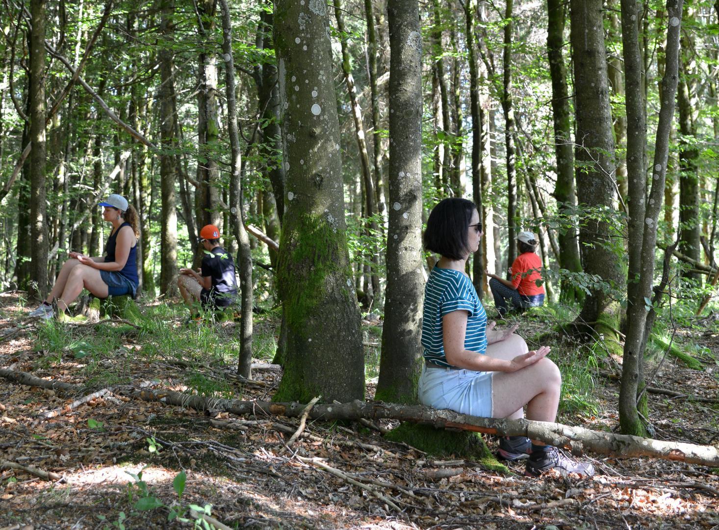 15_immersion_yoga_et_creativite_en_foret