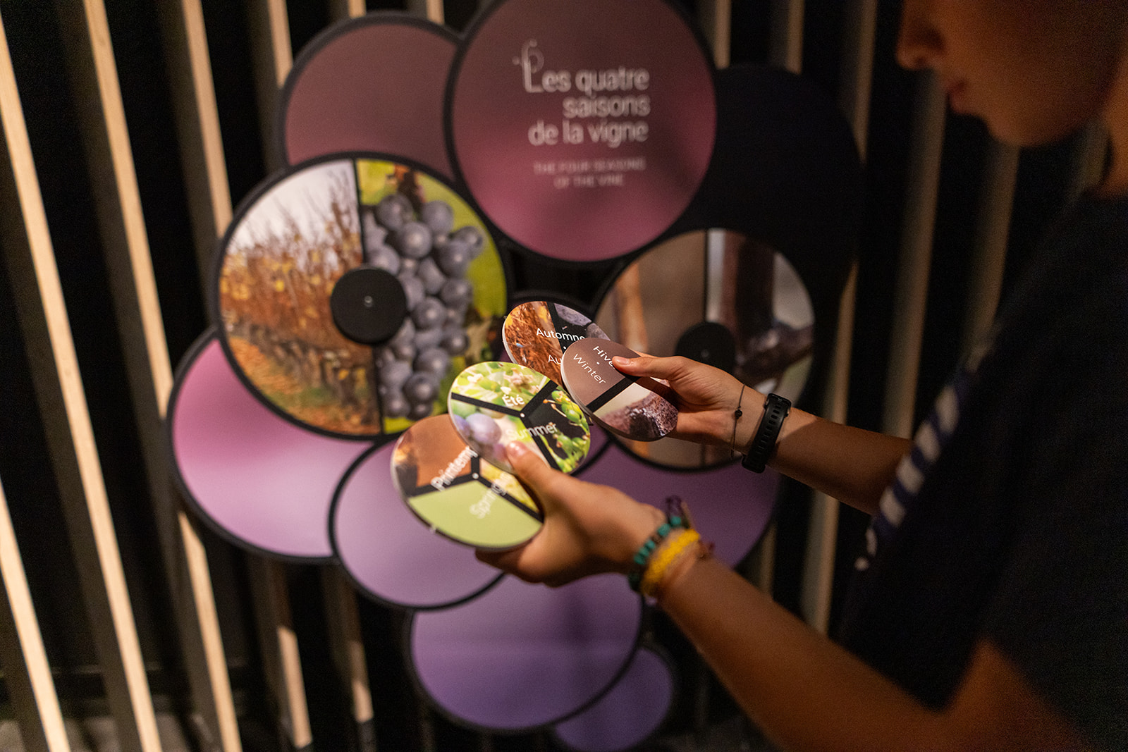 Cité des Climats de Beaune