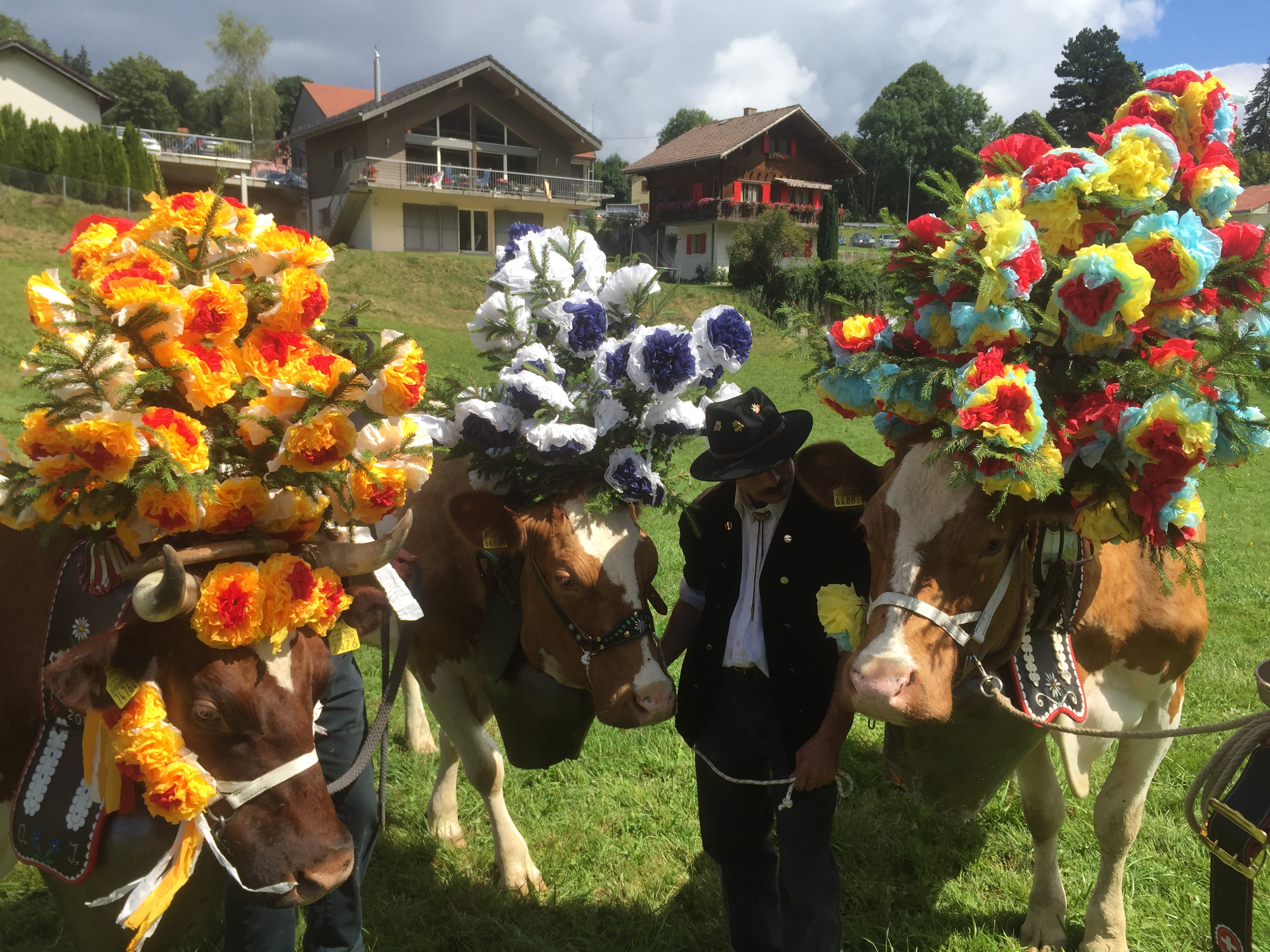 Fêtes de la mi-été - Fête des bergers -