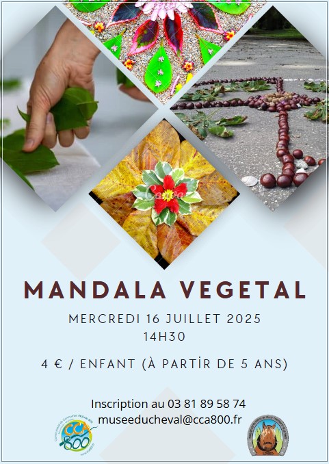 16 juillet - mandala végétal - levier