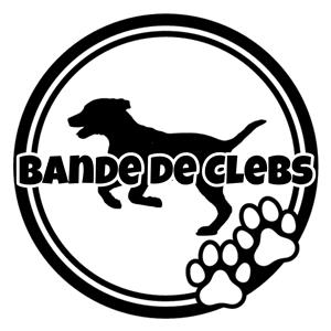 Association bande de clebs