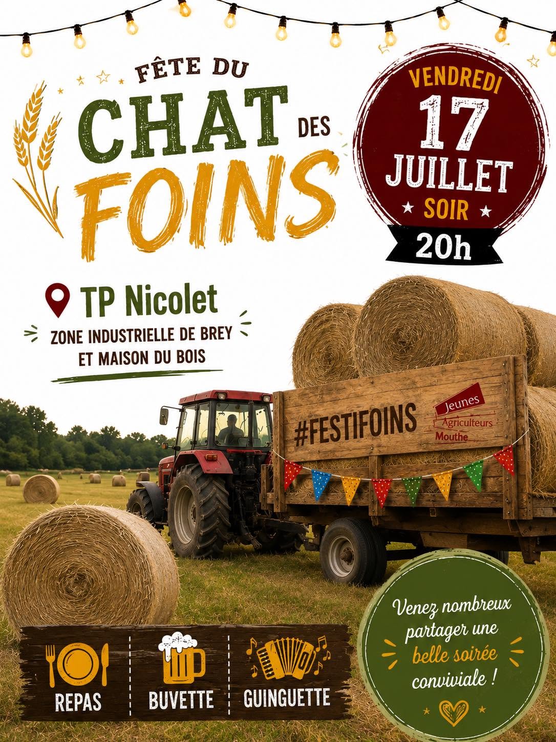 Fête du Chat des Foins