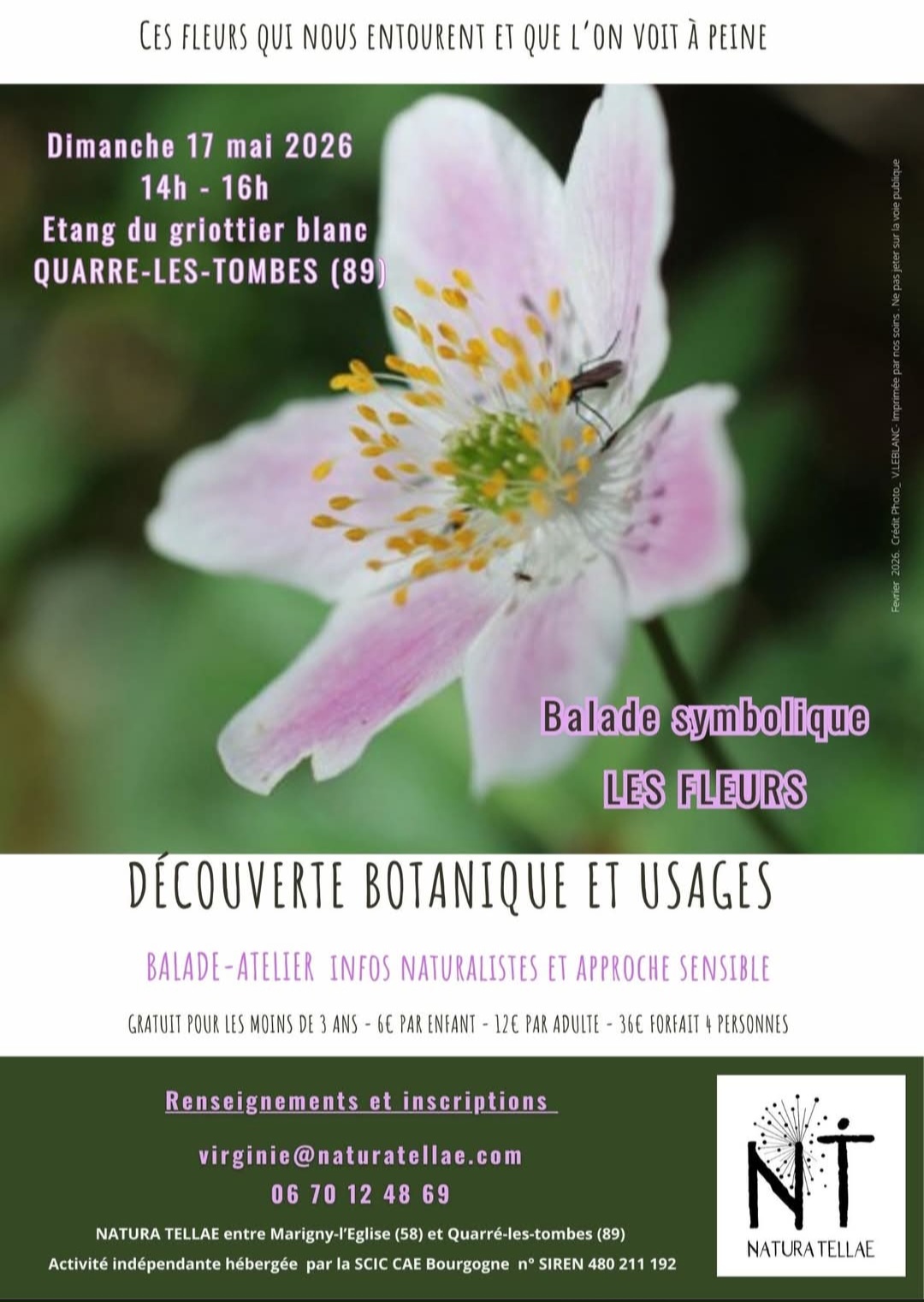 Balade symbolique les fleurs