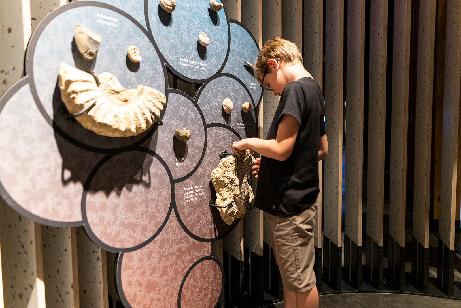 Cité des Climats de Beaune