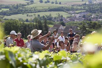 OeNolay tour - Cœur des Hautes Côtes de Beaune