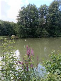 Camping-caravaning La Fontaine aux fées