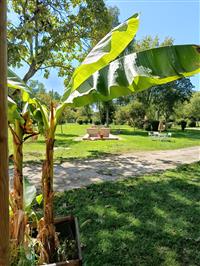 Camping-caravaning La Fontaine aux fées
