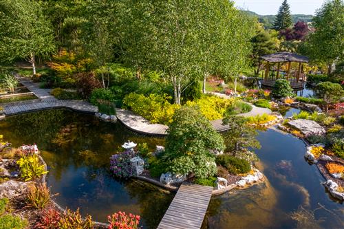 Le jardin aquatique d'Acorus