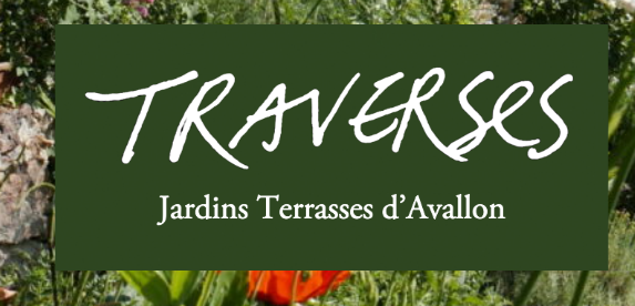 Visite jardins terrasses - Le petit peuple des mares — visuel événement
