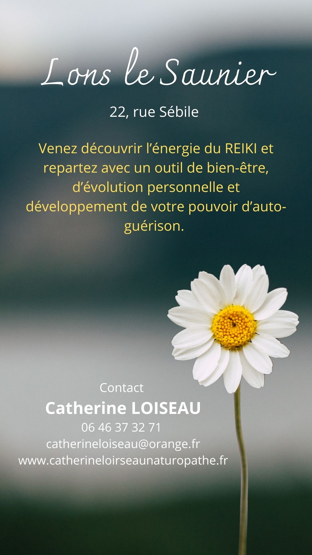Média additionnel 2