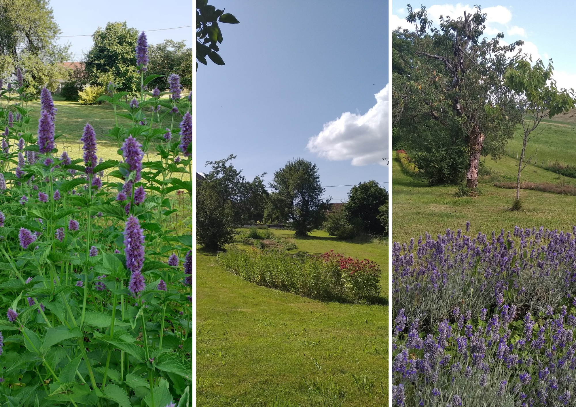 Flyer Kayakin Dole 2022