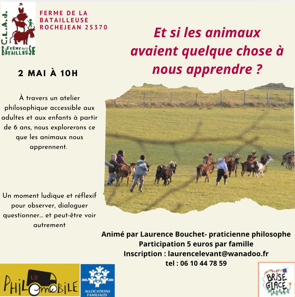 Atelier philosophique : Et si les animaux avaient quelque chose à nous apprendre ?
