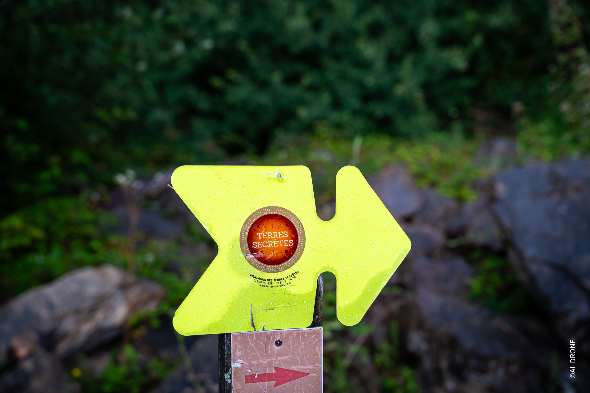 Parcours marche au crépuscule 