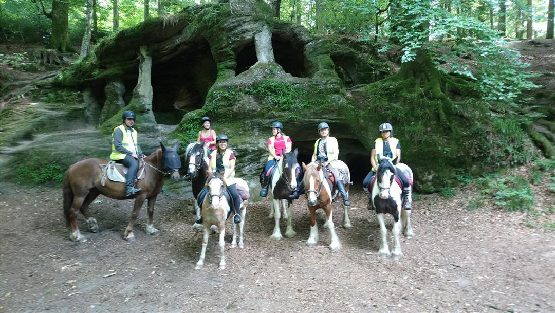 Centre équestre Le Bois d'Ambre