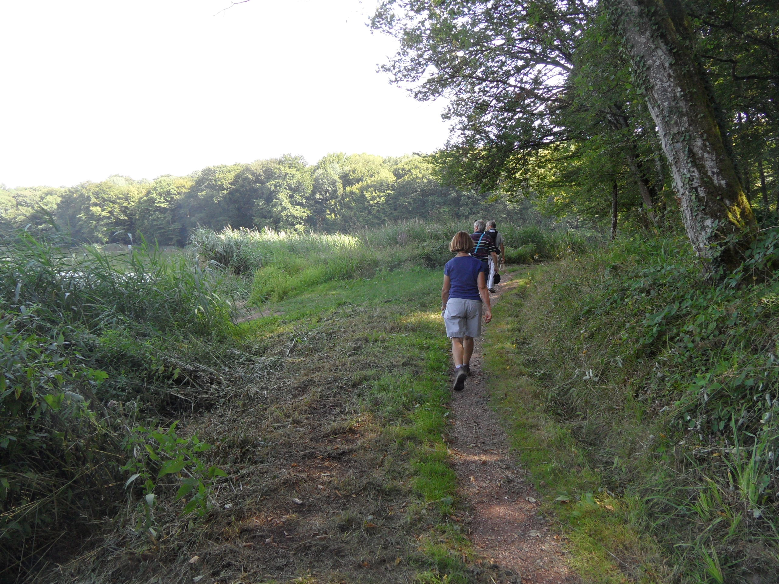 Etang Grenetier, La Machine - photo 4