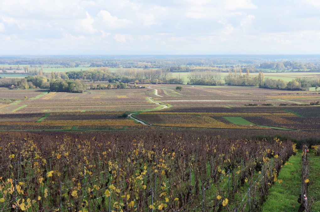 Meursault sous toutes les coutures