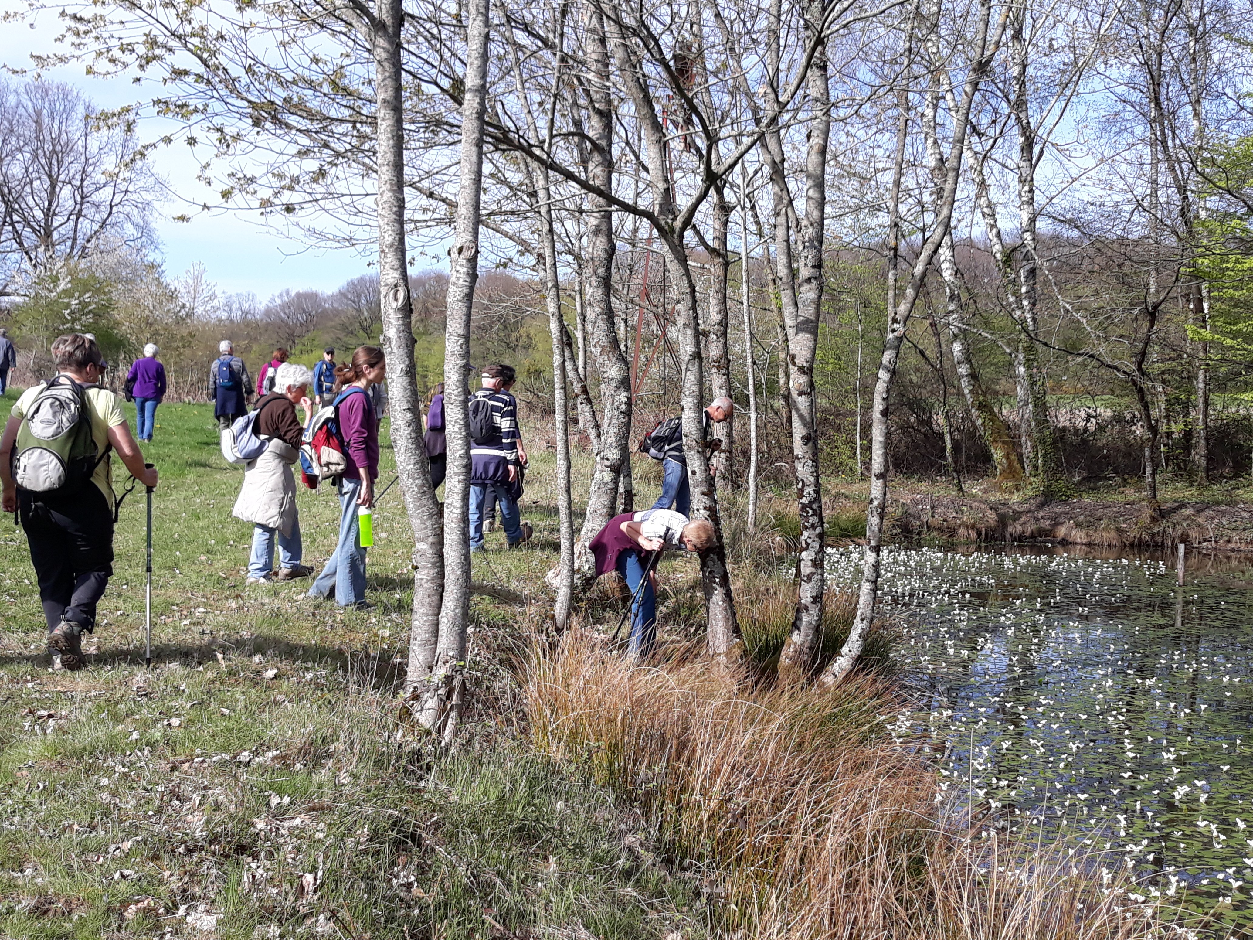 Balade et nature 