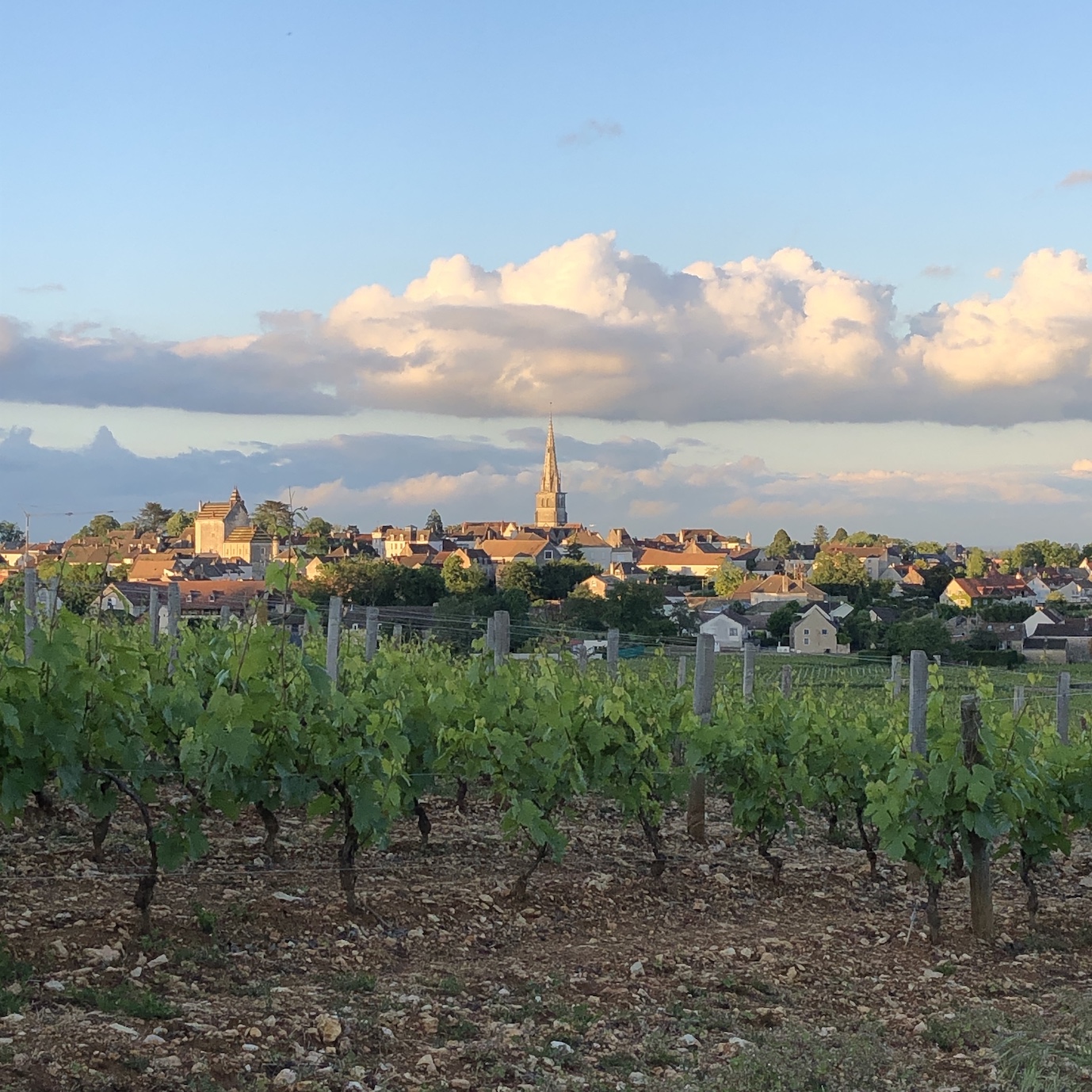 Meursault entre ciel et terre