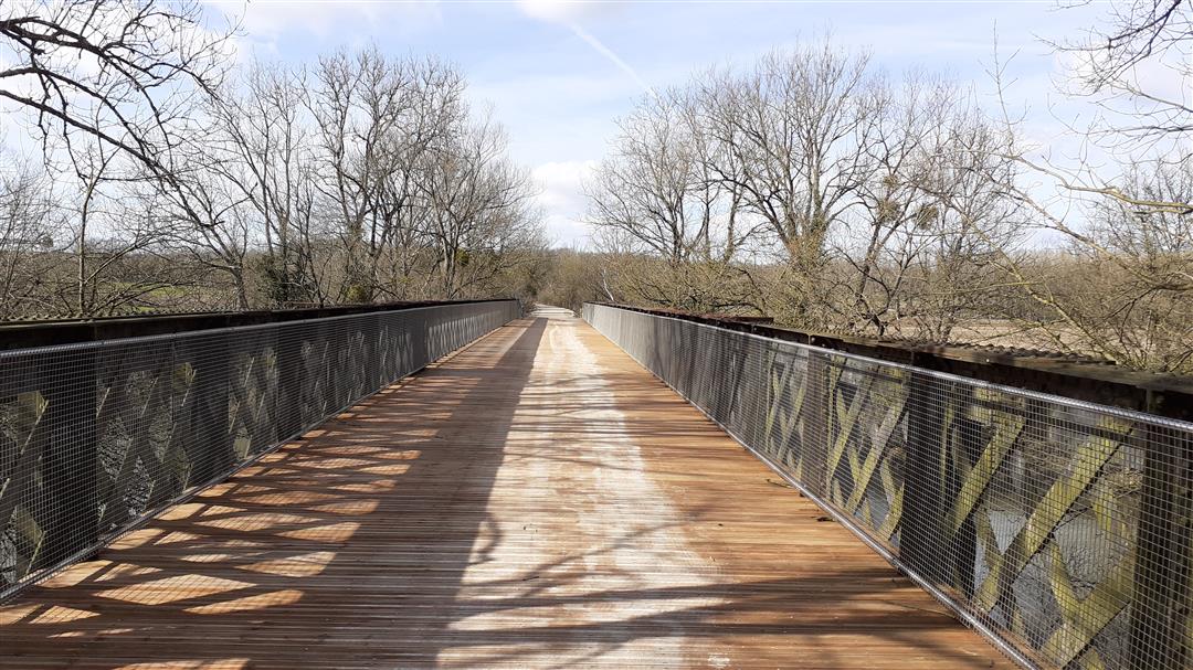 La Ligne des escargots