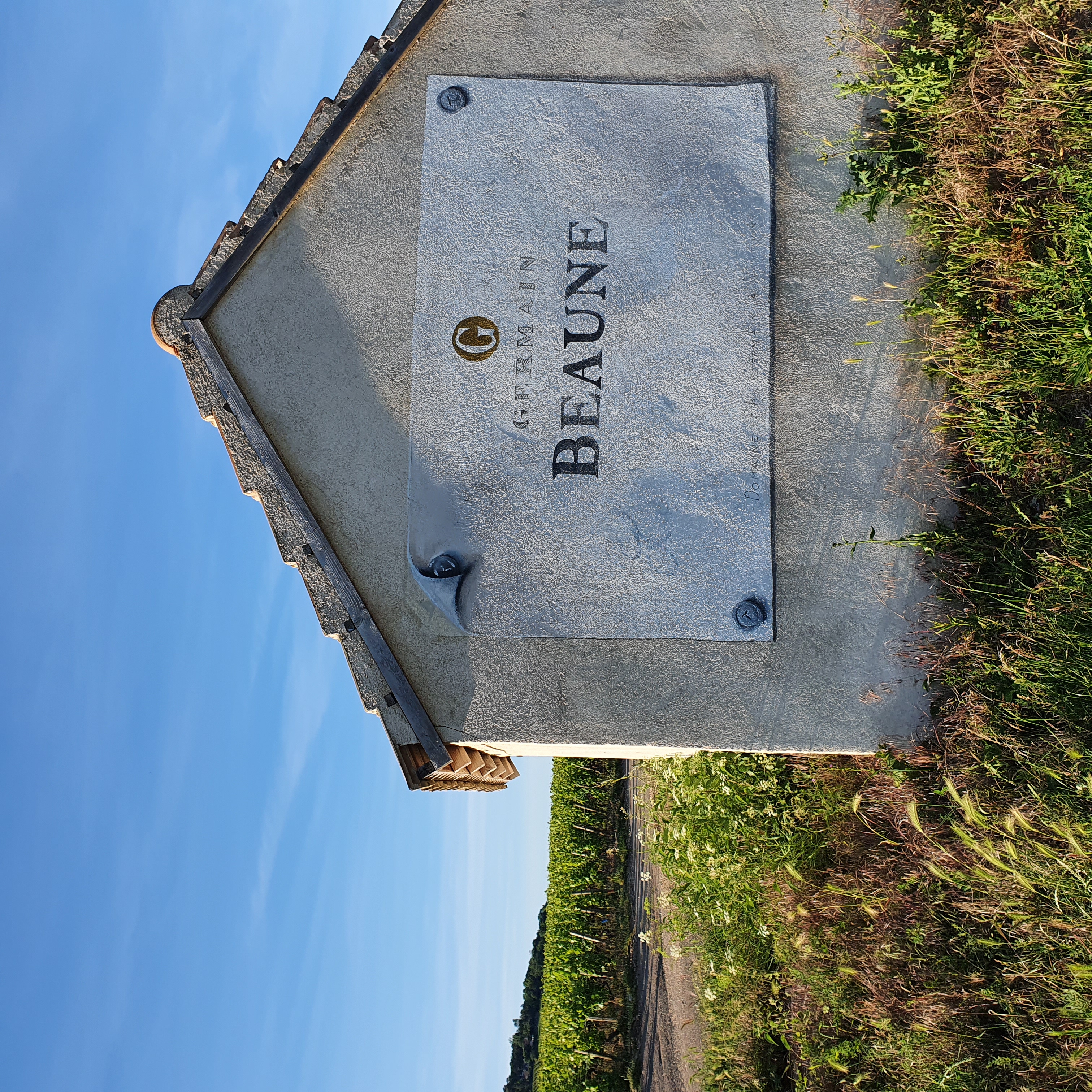 Dégustation dans les vignes
