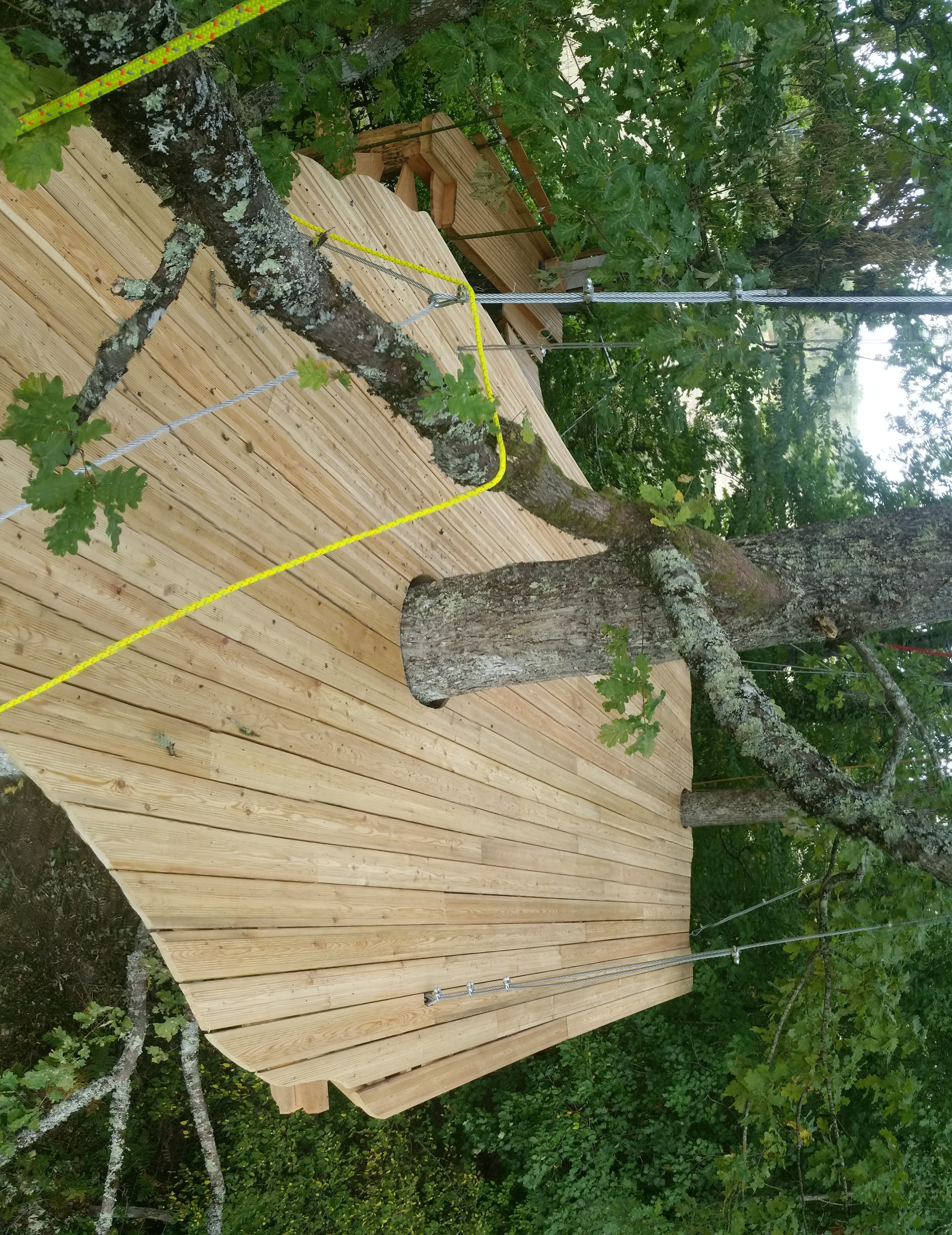 Bouts de Branches