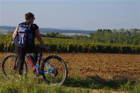 Boucle cyclable n°19 - des vieilles vignes