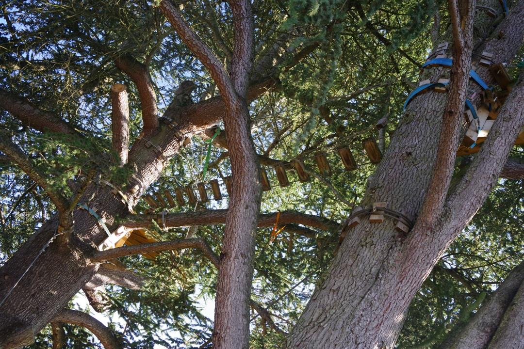 Woka Marnay - parcours dans les arbres