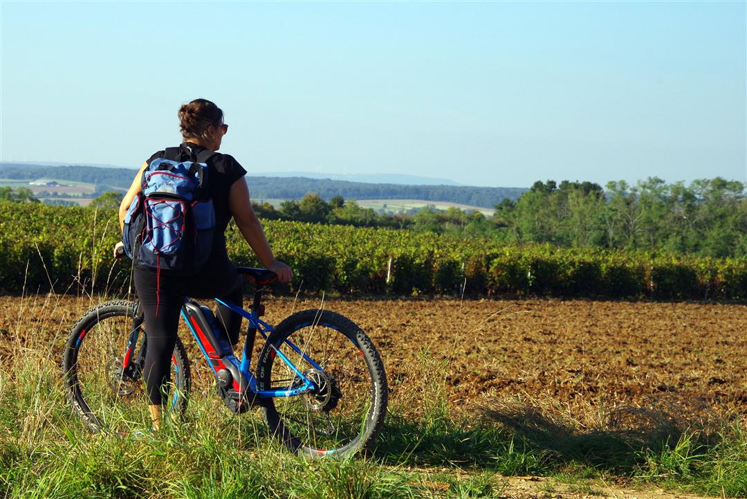 Boucle cyclable n°19 - des Vieilles Vignes 