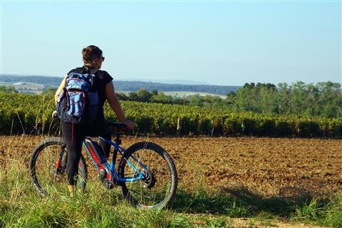 Boucle cyclable n°19 - des Vieilles Vignes 