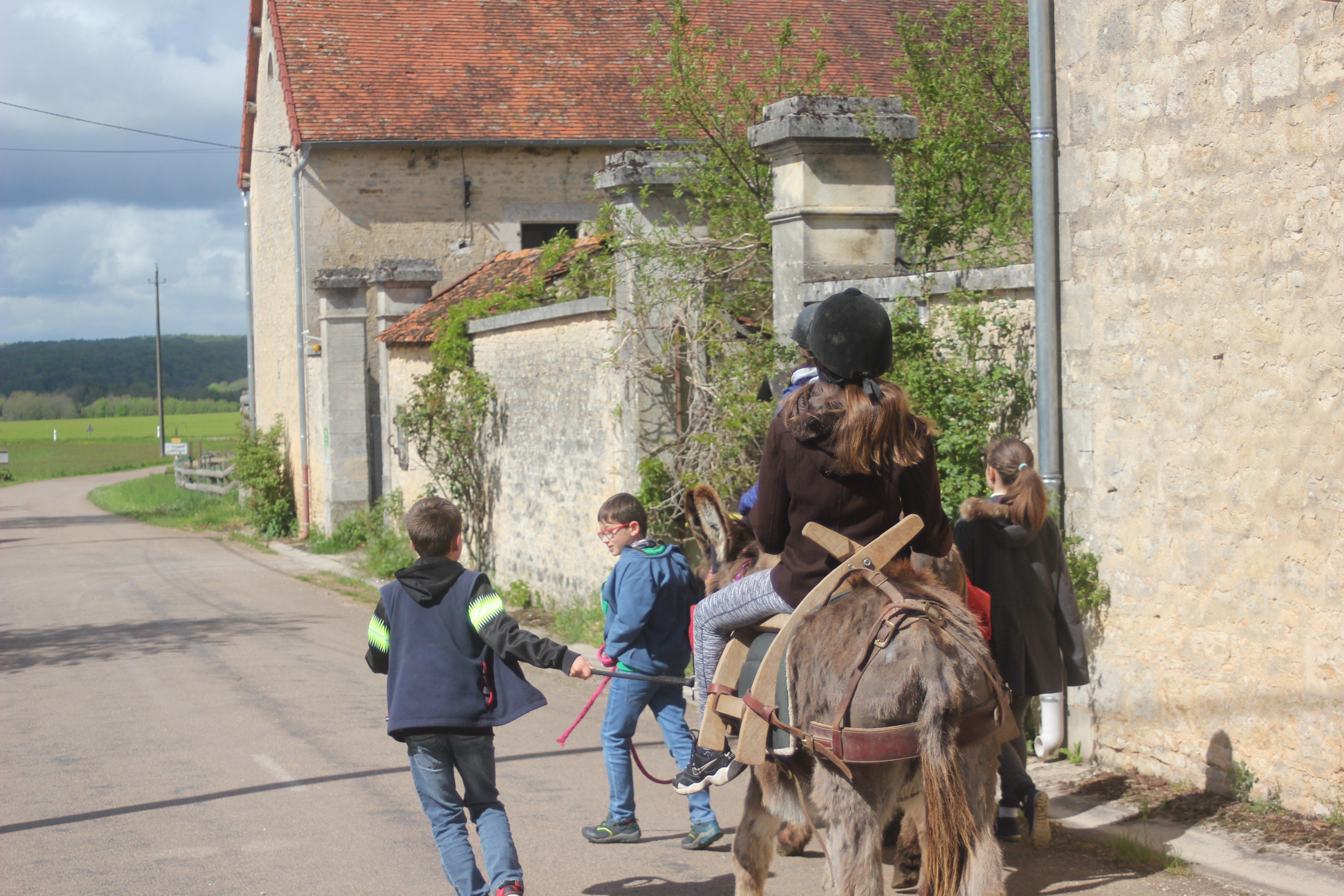 Balad'ânes avec Donkey-Âne