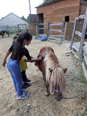 Le petit ranch de Jenni