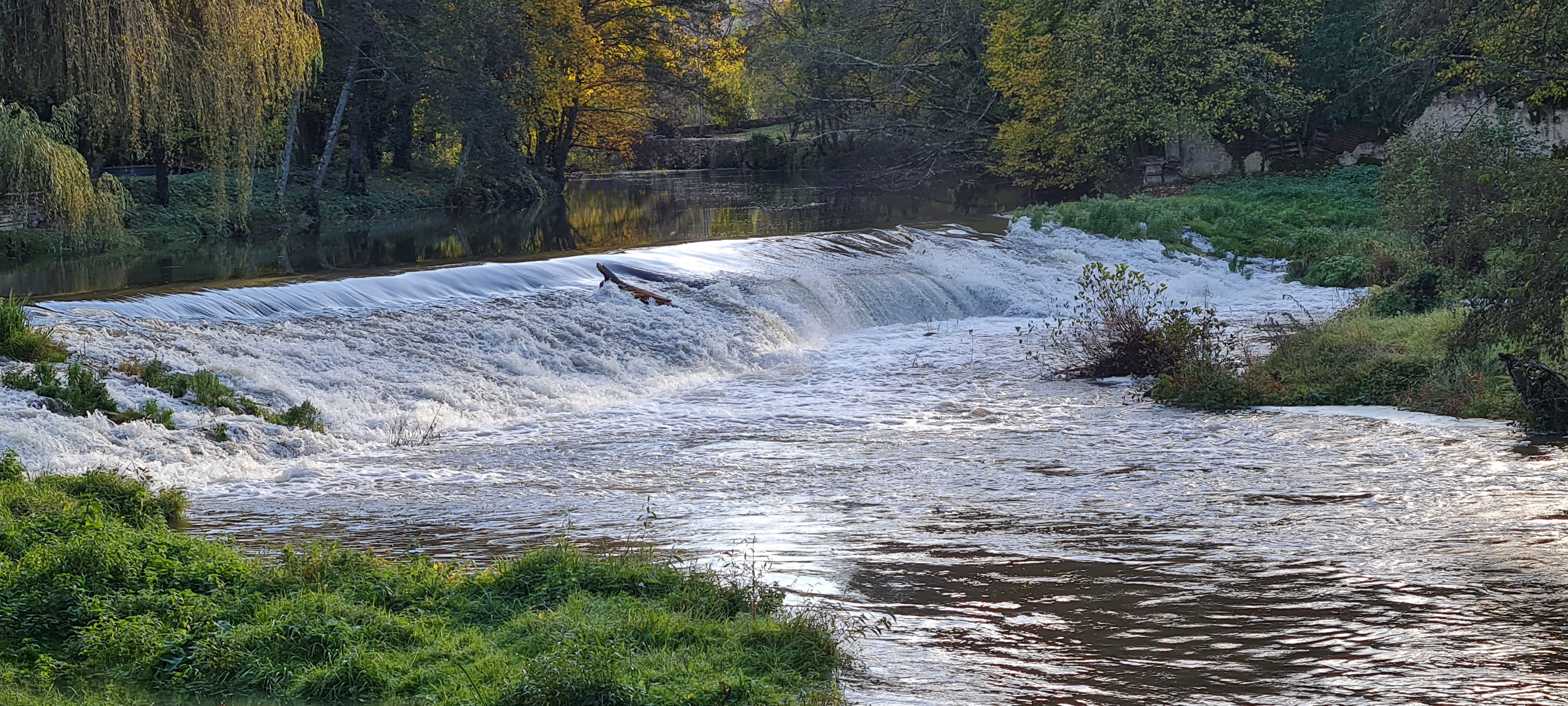 Le Moulin de L'O- L'Orle Nature