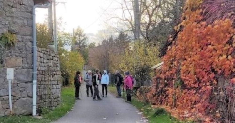 photo vouivre en chemins