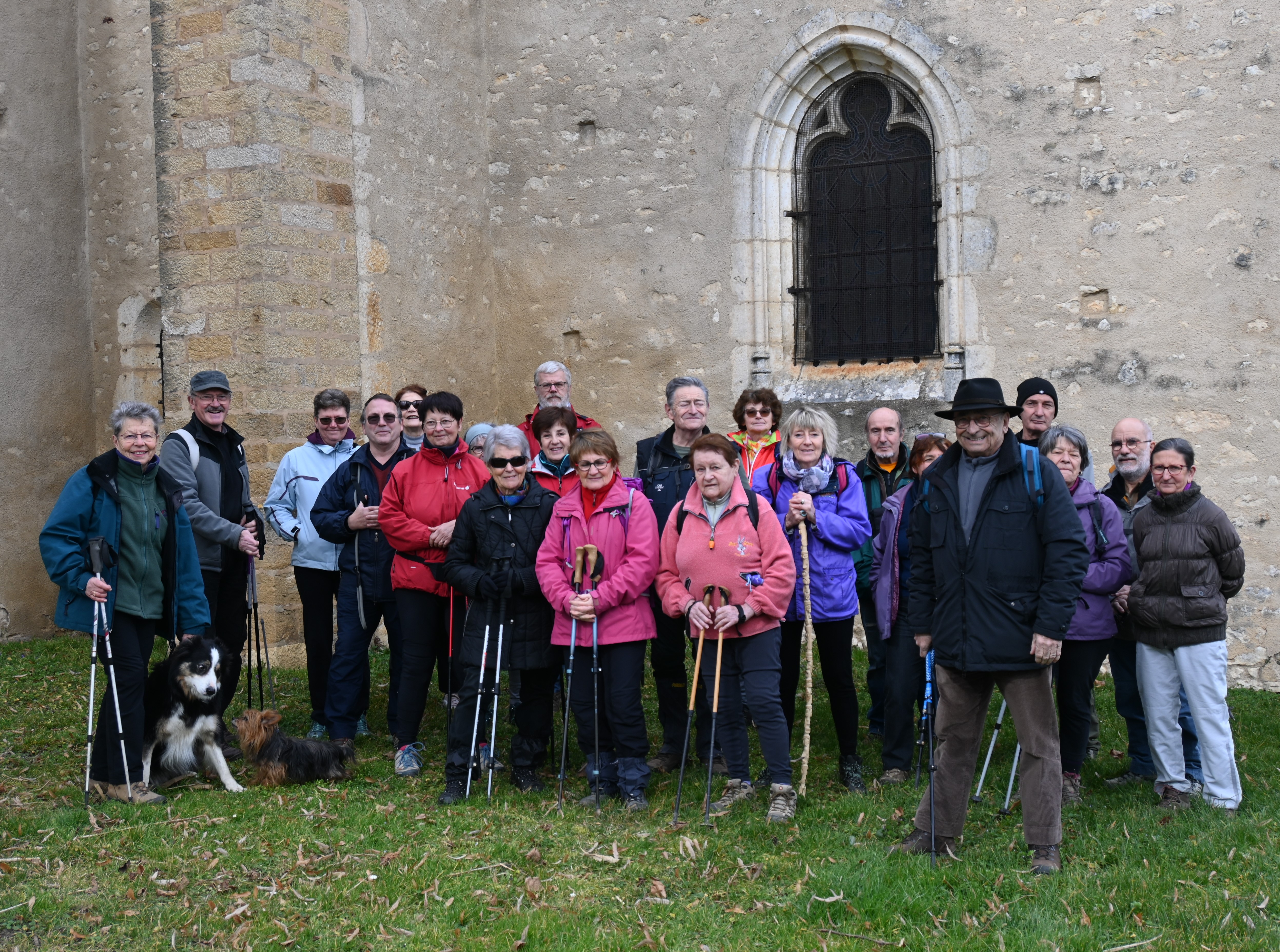 photo vouivre en chemins