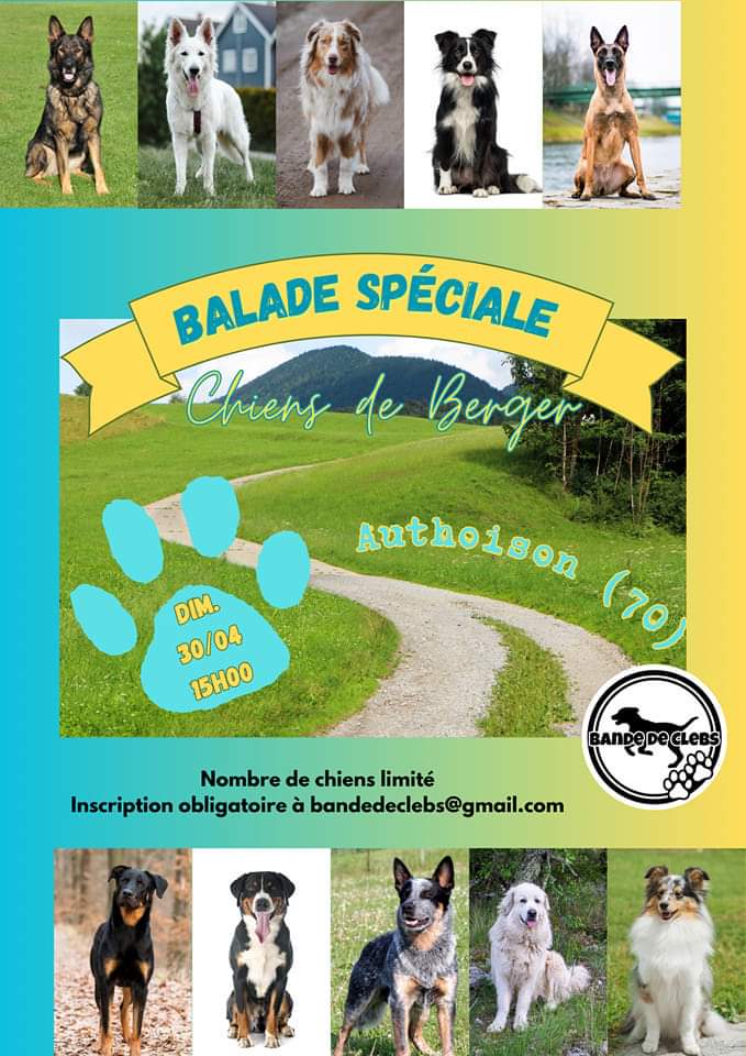 2023-04-30-bande de celbs authoison