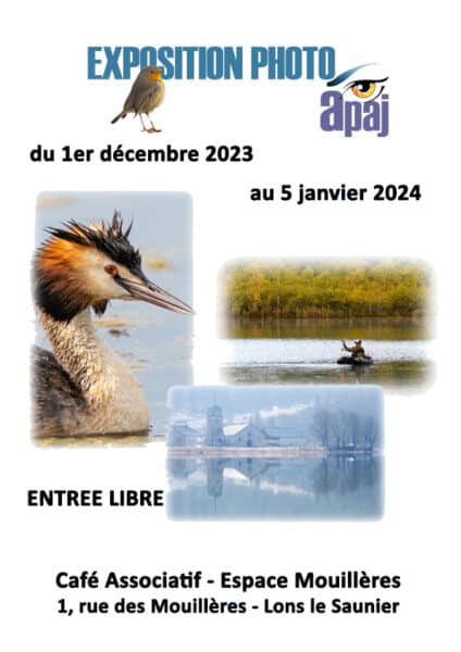 2023-12-Affiche-expo-Mouillieres-V4b-424x600