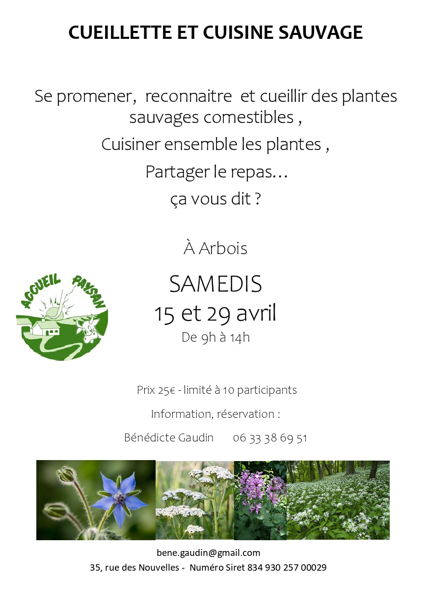 2023_animation cueillette et cuisine sauvage_page-0001
