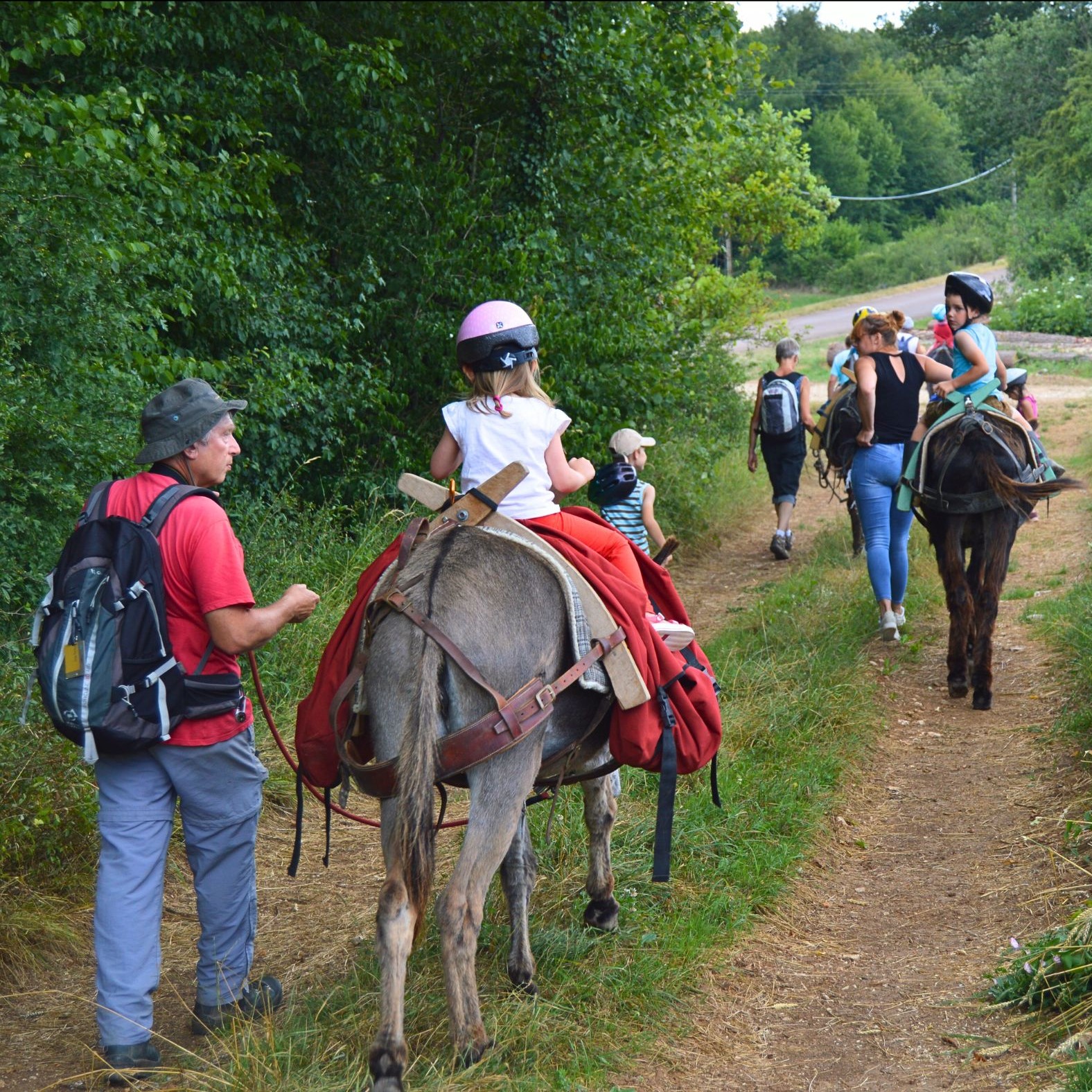 Balades découvertes ânes