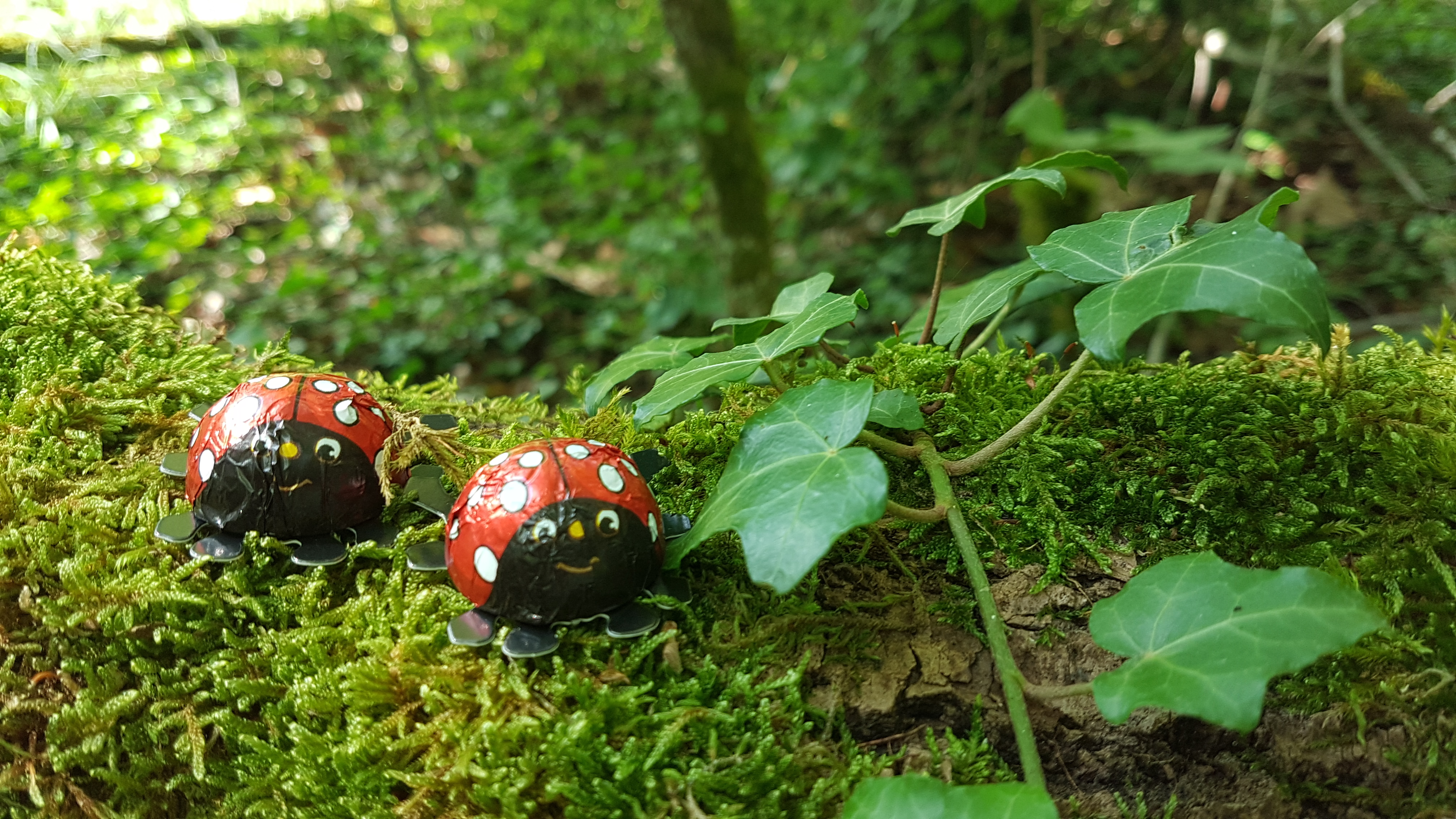 Paques à dos d'âne 