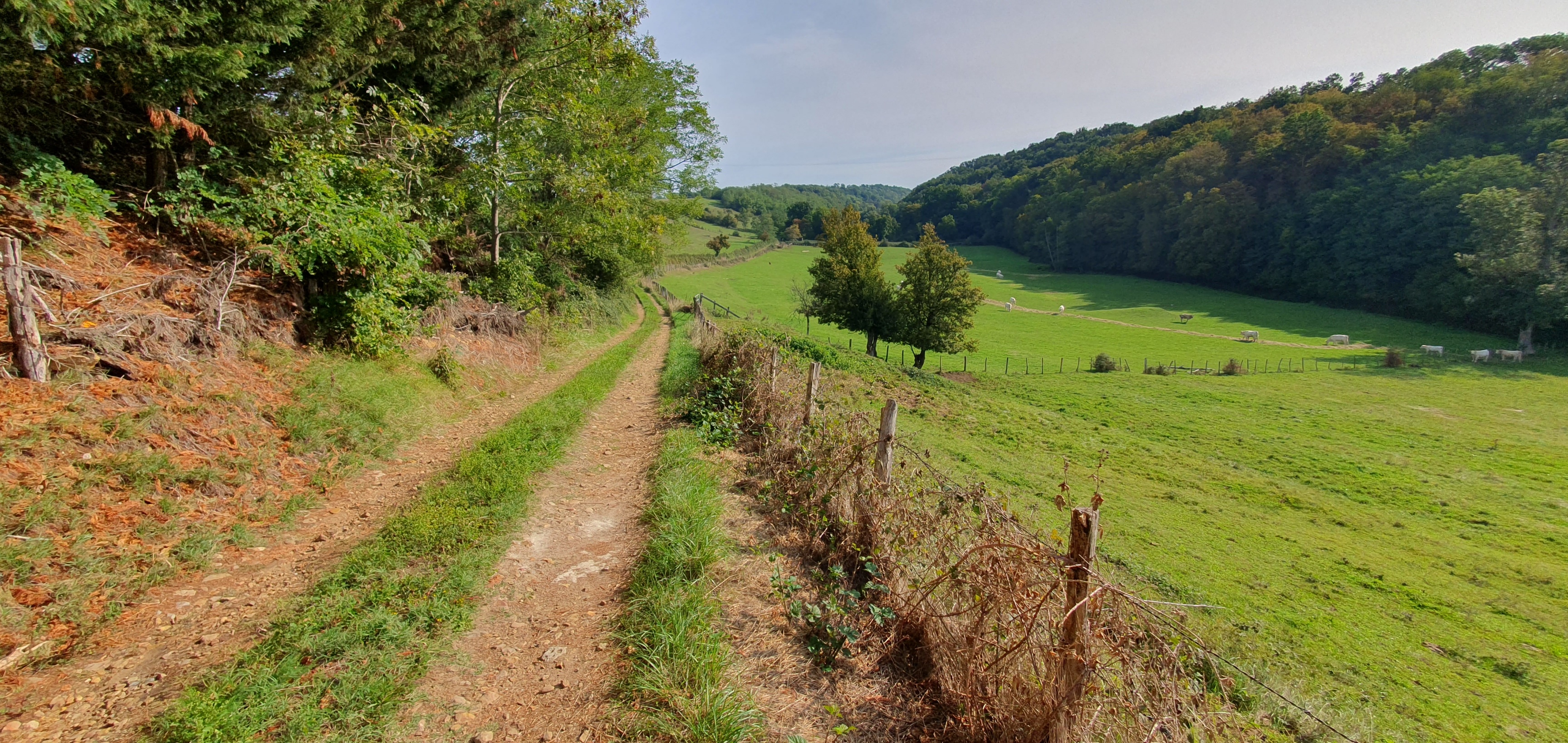chemin
