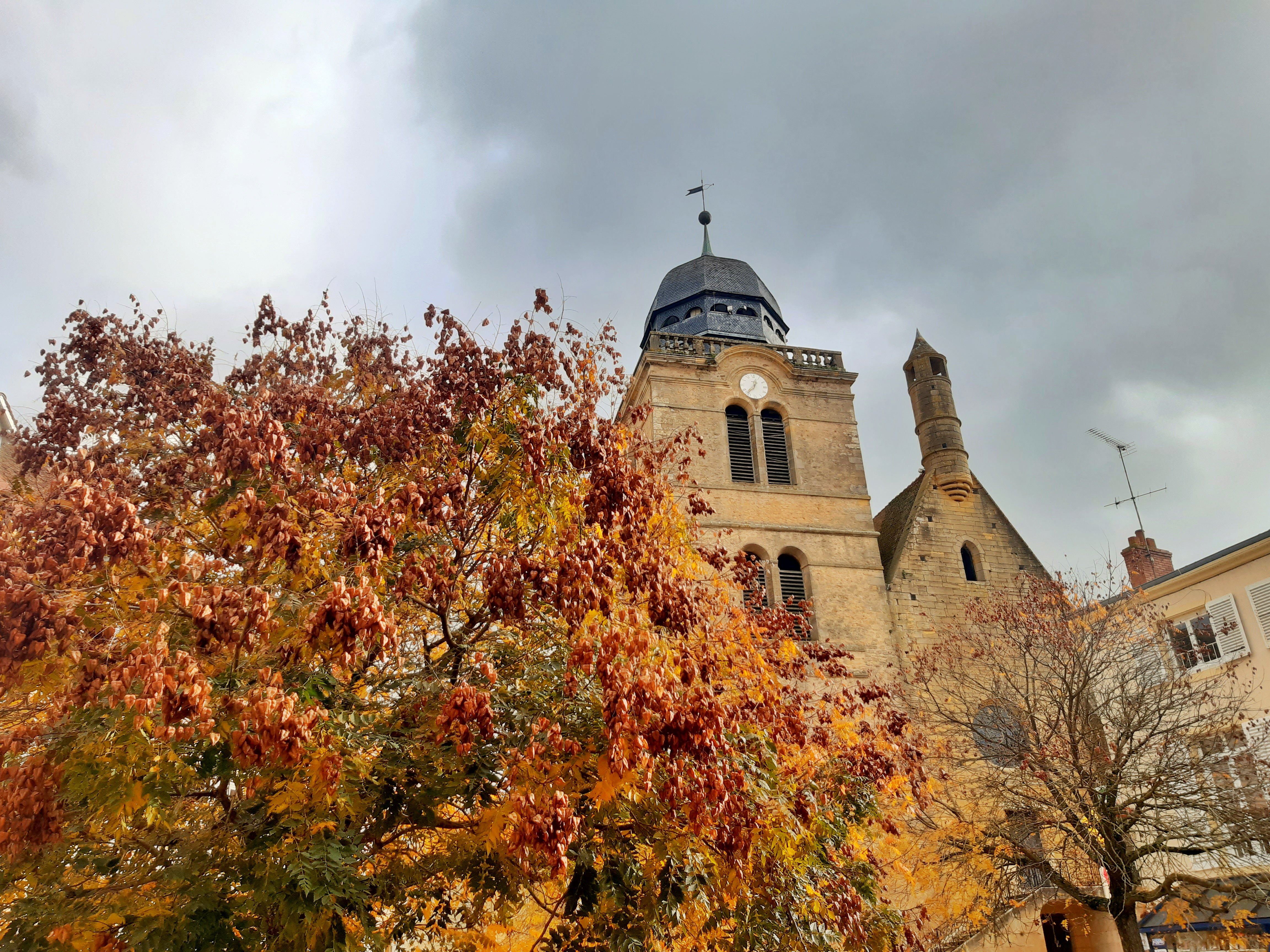 20231110_TSN Automne 