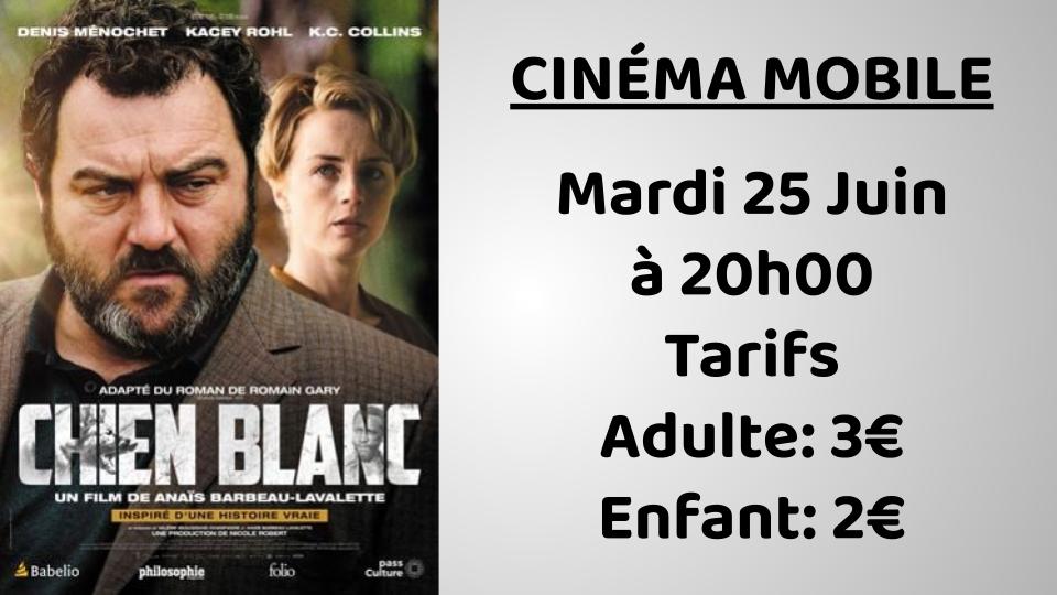 2024-06-25-Chien Blanc CCSL