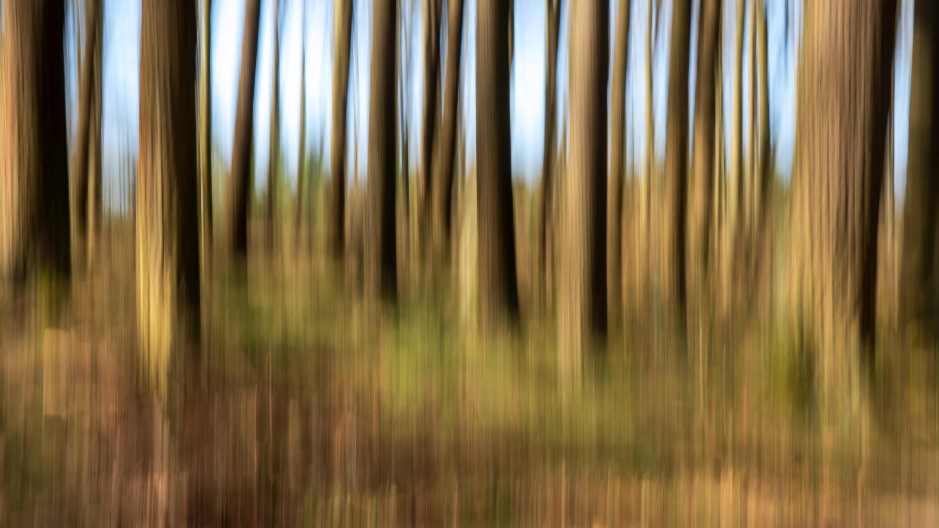 Lumière-Couleur-Céramique/Licht-Farbe-Keramik