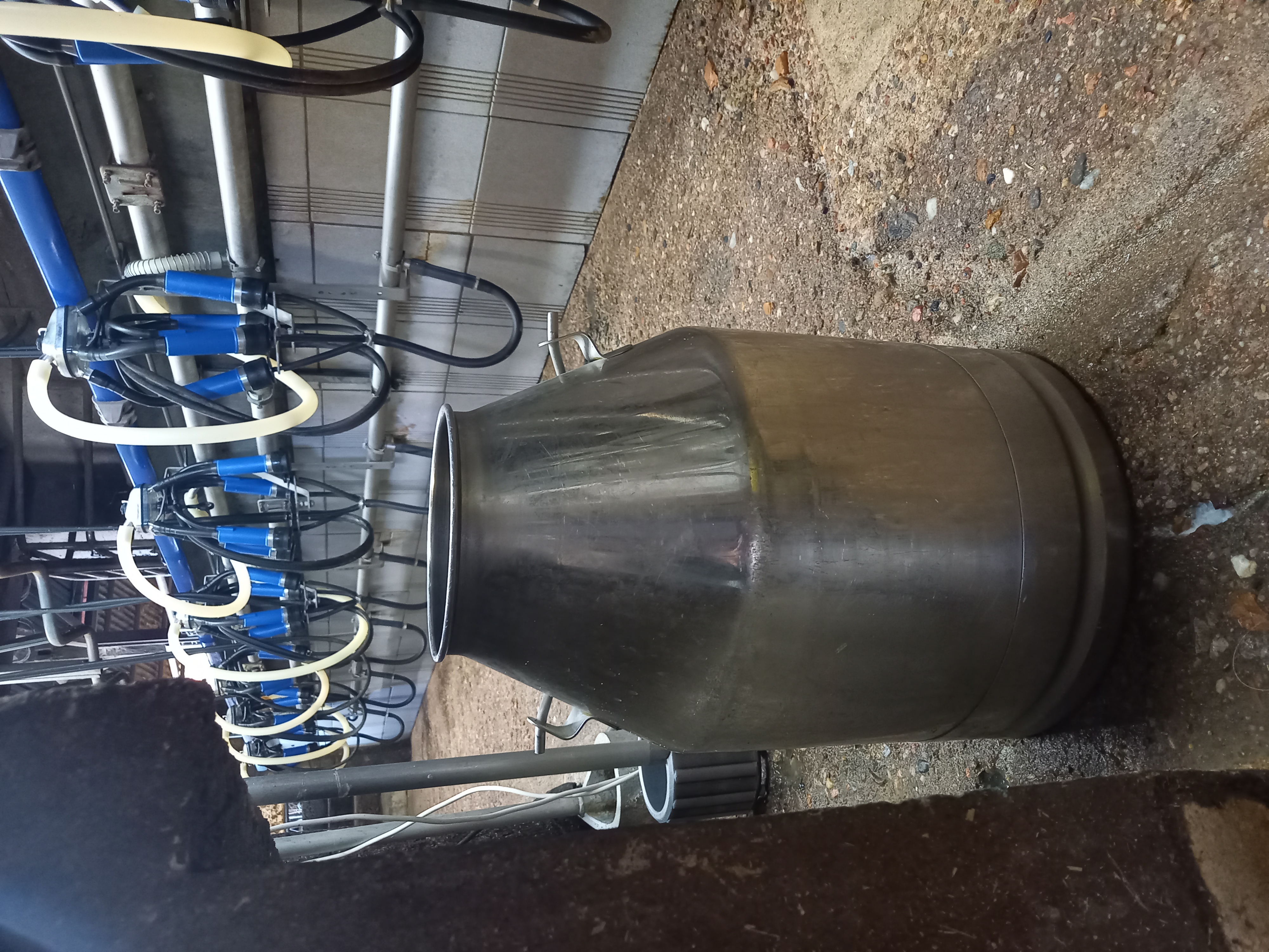 Visite de Ferme (Fromagerie Berthier)- Avril-sur-Loire