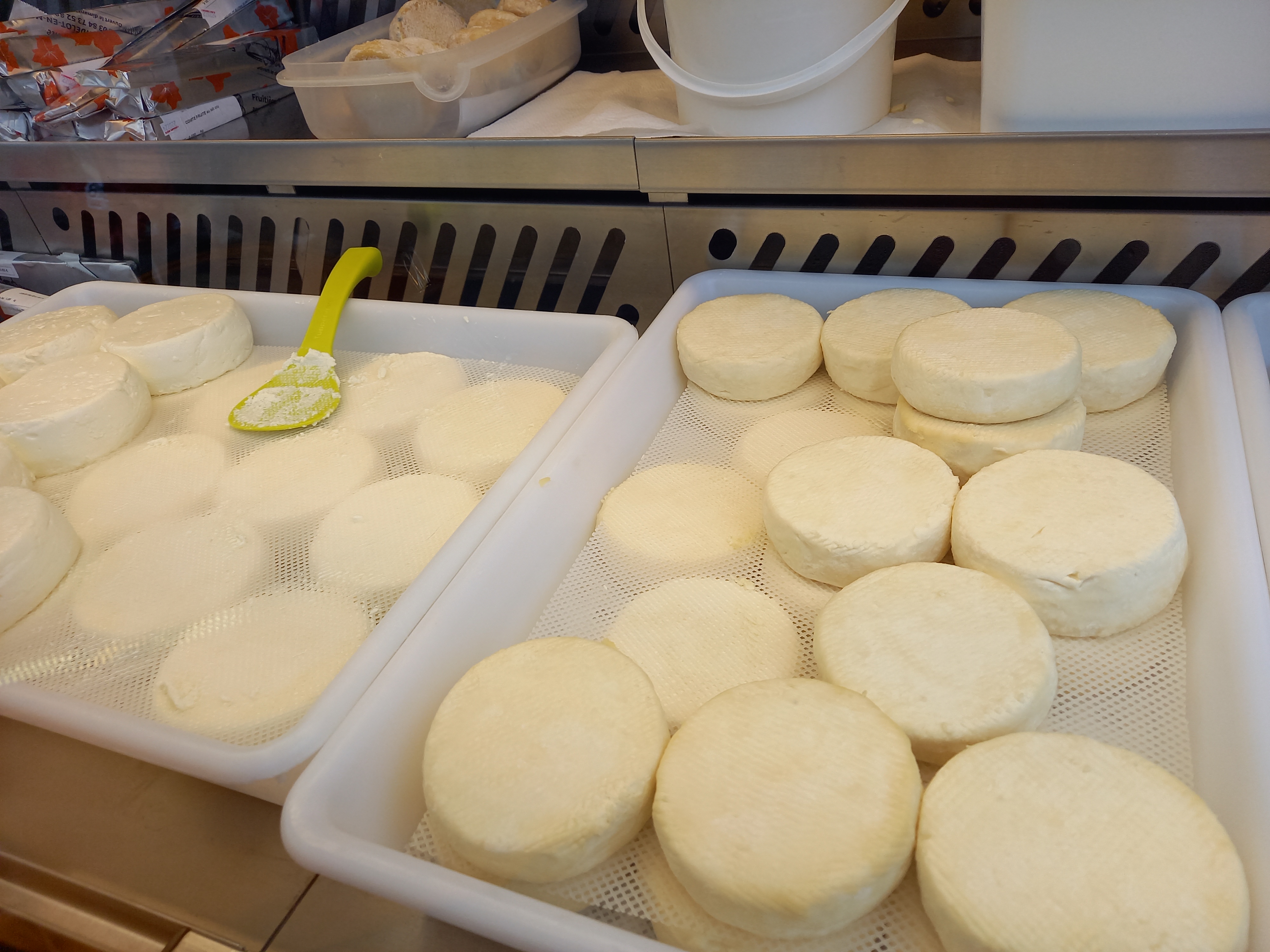 Visite de Ferme (Fromagerie Berthier)- Avril-sur-Loire