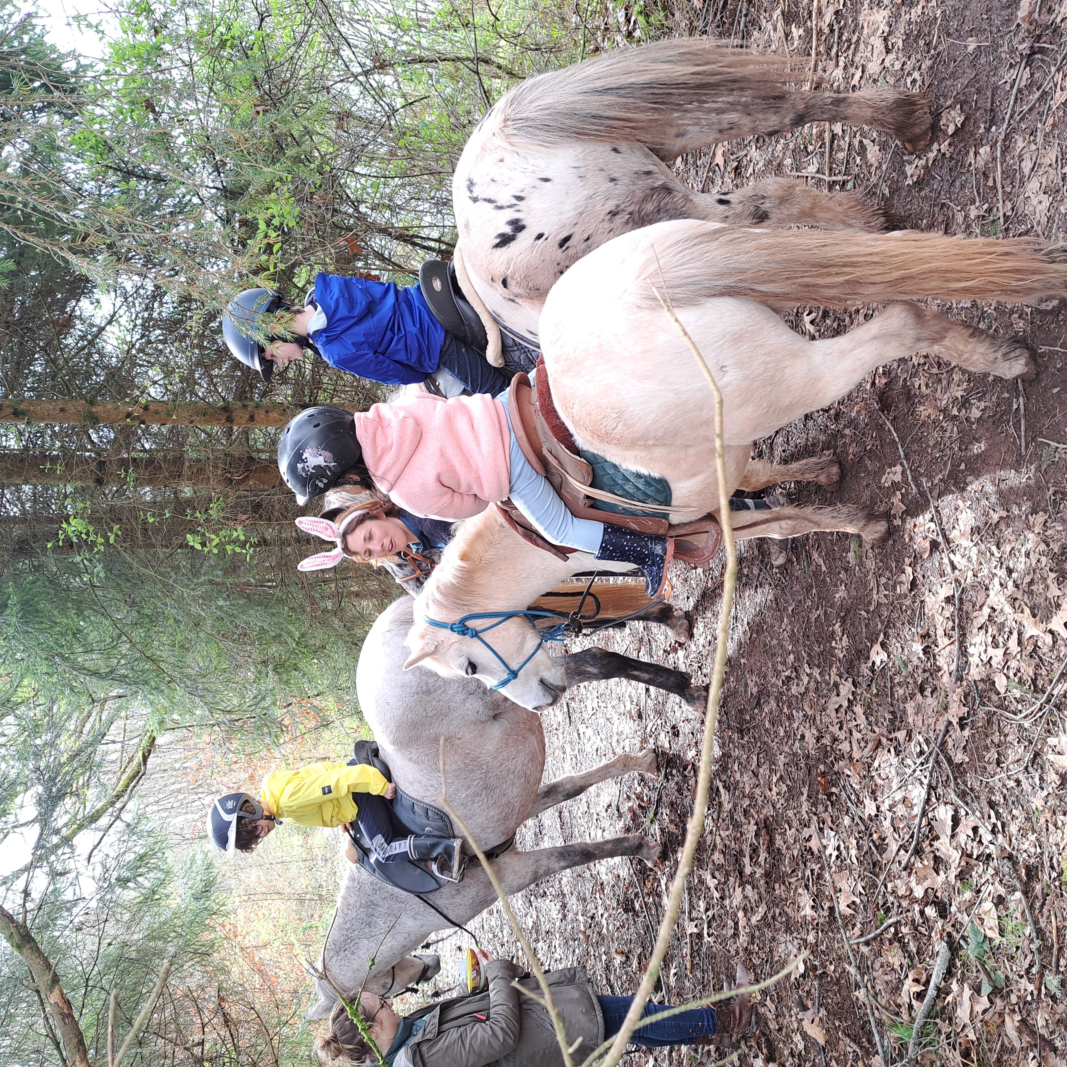 Balade en forêt