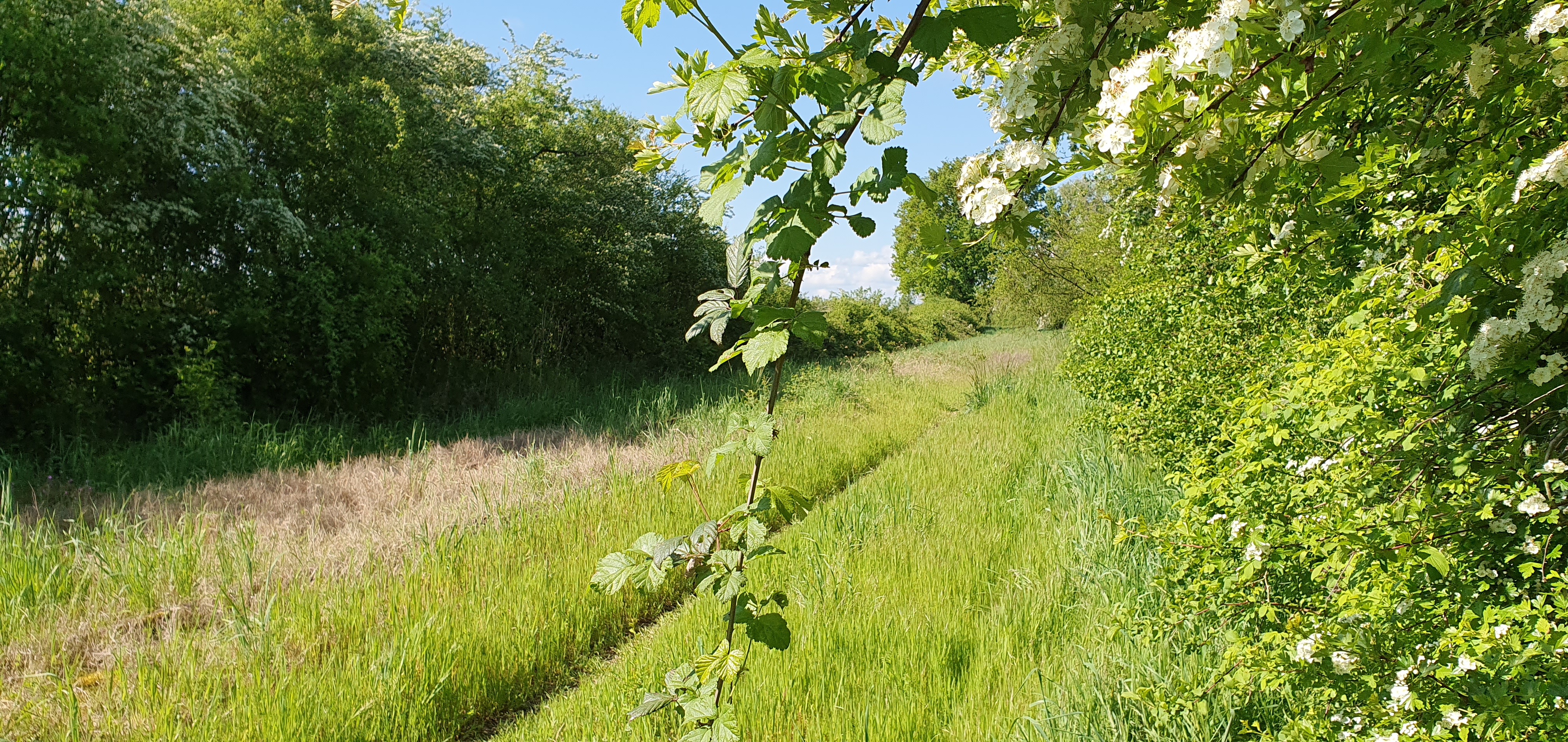 le long de l'ancienne voie ferrée
