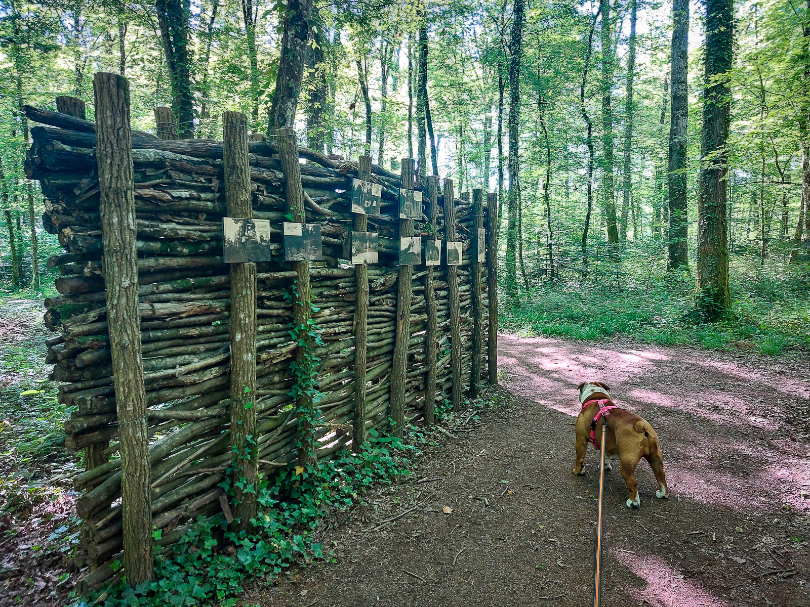 Sentier d'interprétation - Etang de Niffond, Varennes-Vauzelles - photo 3