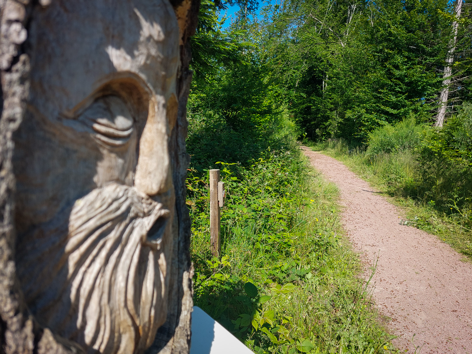 Sentier d'interprétation - Etang de Niffond
