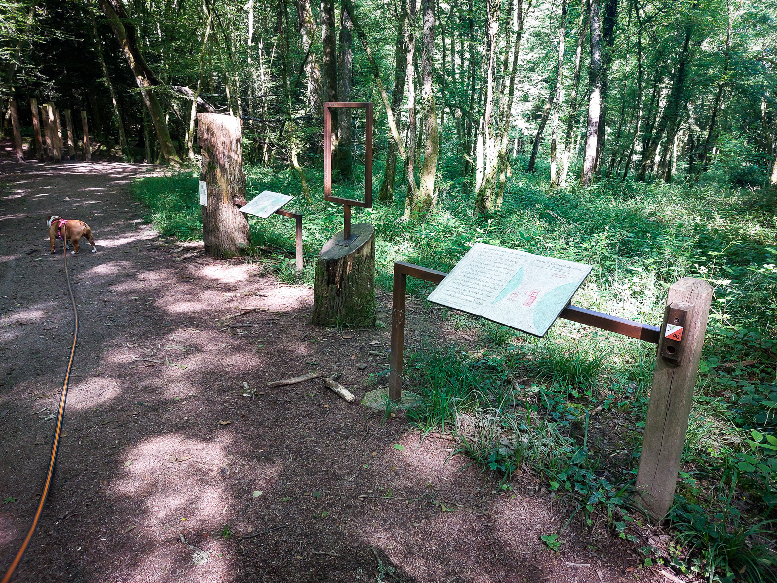 Sentier d'interprétation - Etang de Niffond, Varennes-Vauzelles